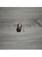 M�belgriff M�bel Hebel Kn�ufe Griffe Schubladengriffe Schrankgriffe Knauf gold-farben 4