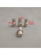 Regalbolzen 6mm silber 20 Stck Metall Regalstifte Regal Bolzen Pins Regalstift